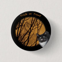 Trick oder behandeln Halloween Black Cat & Moon