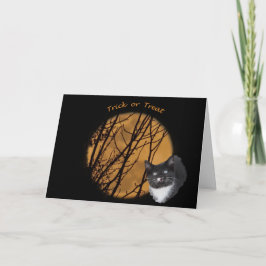 Trick oder behandeln Halloween Black Cat & Moon Karte