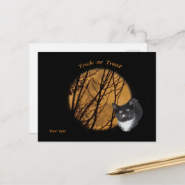 Trick oder behandeln Halloween Black Cat & Moon Postkarte