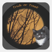 Trick oder behandeln schwarze Katze & Mond Hallowe