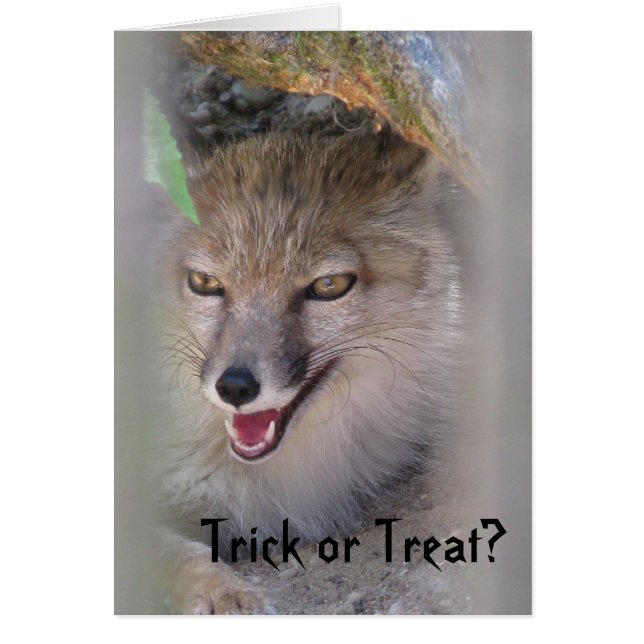 Trick oder Leckerei? (Vorne)