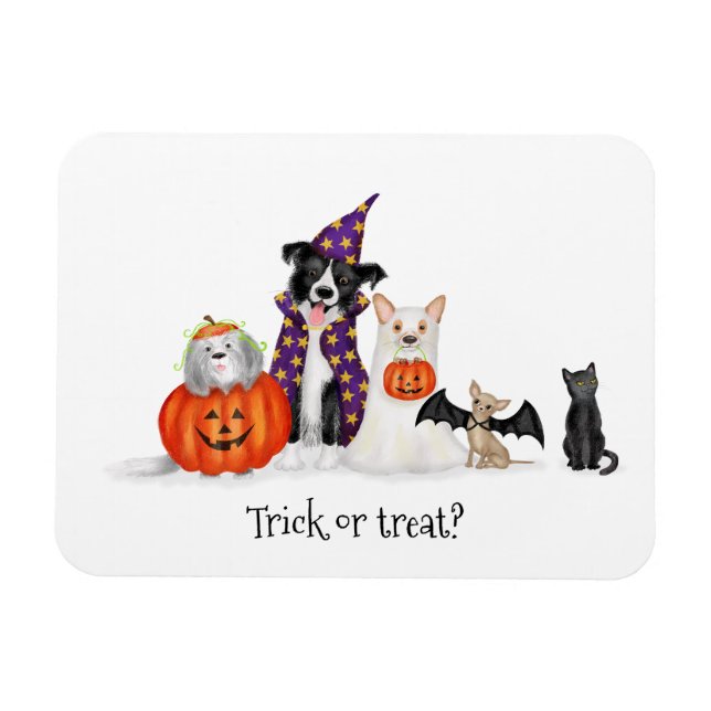 Trick oder Lust? Hunde im Halloween-Kostümmagnet Magnet (Horizontal)