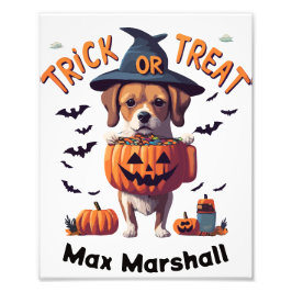 Trick oder Treat Hund - Verfluchte Süssen Orange W Fotodruck