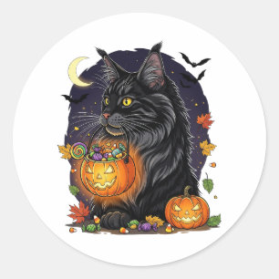 Trick oder Treat Maine Coon - Halloween Cat Runder Aufkleber
