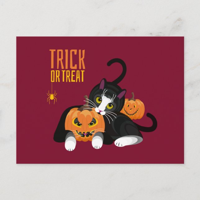 Trick oder Treppenhaus Cat fun Postcard Postkarte (Vorderseite)