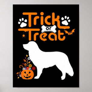 Trick or Treat Duck Tolling Retriever Hund Hallowe Poster