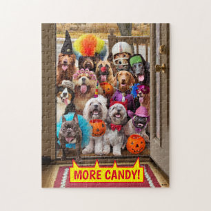 Trick-or-Treating Hunde