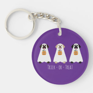 Trick Ou Treat Labrador Retriever Ghost Dogs