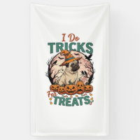 Tricks Behandlungen Halloween Mops Hexenhut Kürbis