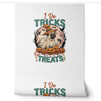 Tricks Behandlungen Halloween Mops Hexenhut Kürbis