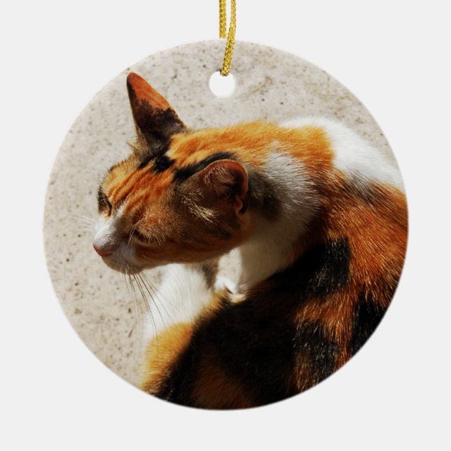 Tricolor Cat Ornament (Vorne)