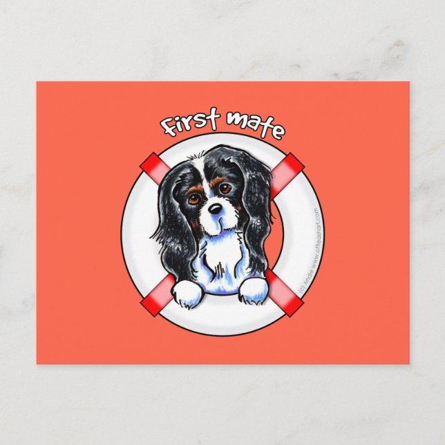 Tricolor Cavalier CKCS First Mate Postkarte (Vorderseite)