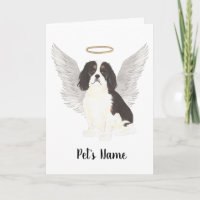 Tricolor Cavalier King Charles Spaniel Beileid