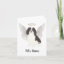 Tricolor Cavalier King Charles Spaniel Beileid