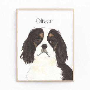 Tricolor Cavalier King Charles Spaniel Fotodruck