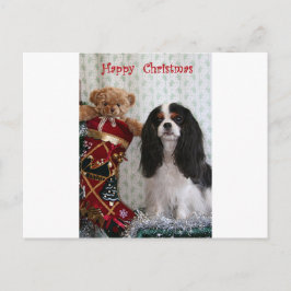 Tricolor Christmas Cavalier Feiertagspostkarte