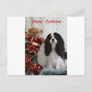 Tricolor Christmas Cavalier Feiertagspostkarte