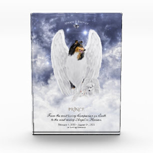 Tricolor Collie Angel & Cherubim - Memorial für Ha Fotoblock
