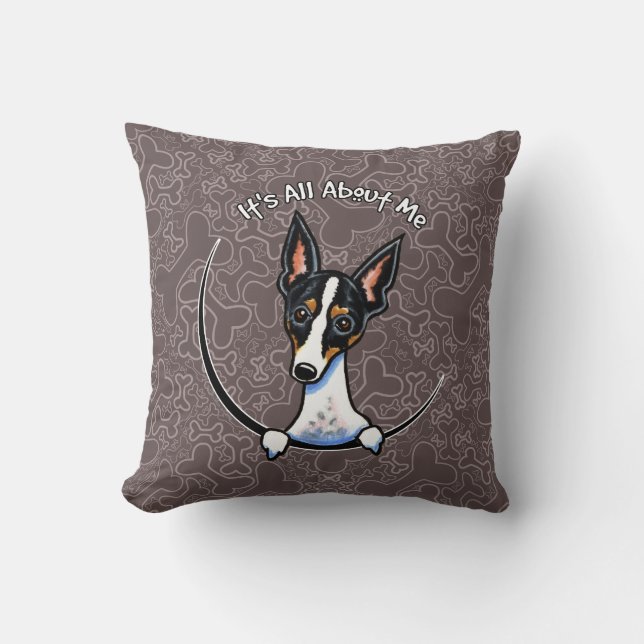 Tricolor Rat Terrier IAAM Kissen (Vorderseite)
