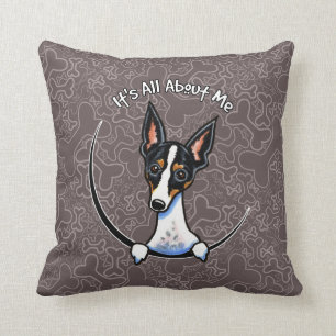 Tricolor Ratte Terrier IAAM Kissen