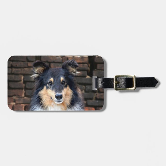 Tricolor Sheltie face Gepäckanhänger (Vorderseite horizontal)