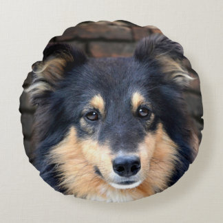 Tricolor Sheltie Rundes Kissen
