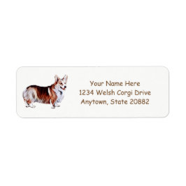 Tricolor Welsh Corgi