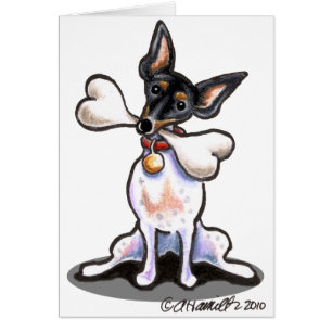 Tricolore Rat Terrier Big Bone