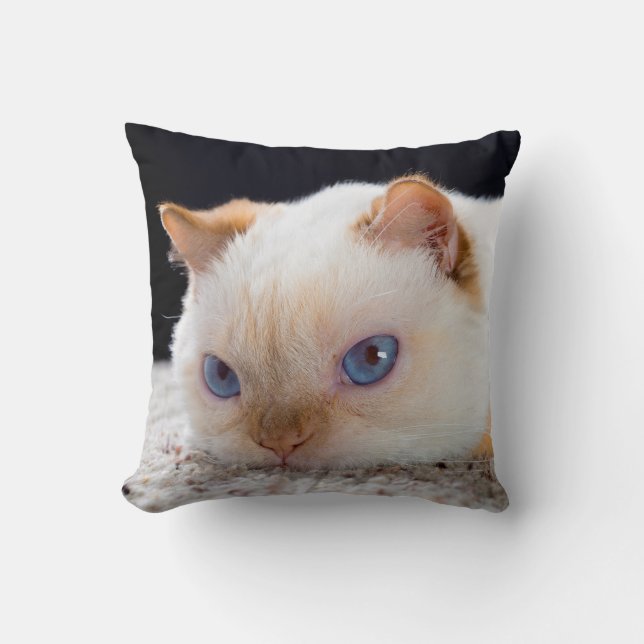 Trident das Katzen-Wurfs-Kissen Kissen (Vorderseite)