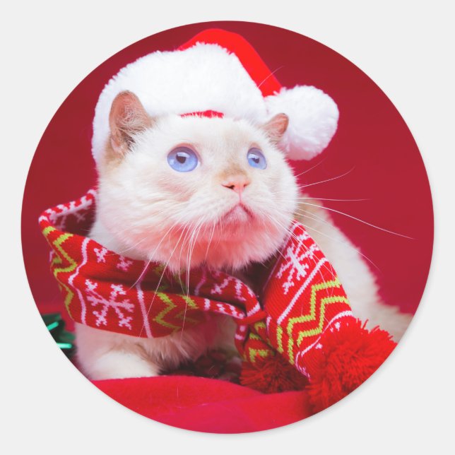 Trident der Cat Mini Round-Aufkleber Runder Aufkleber (Vorderseite)