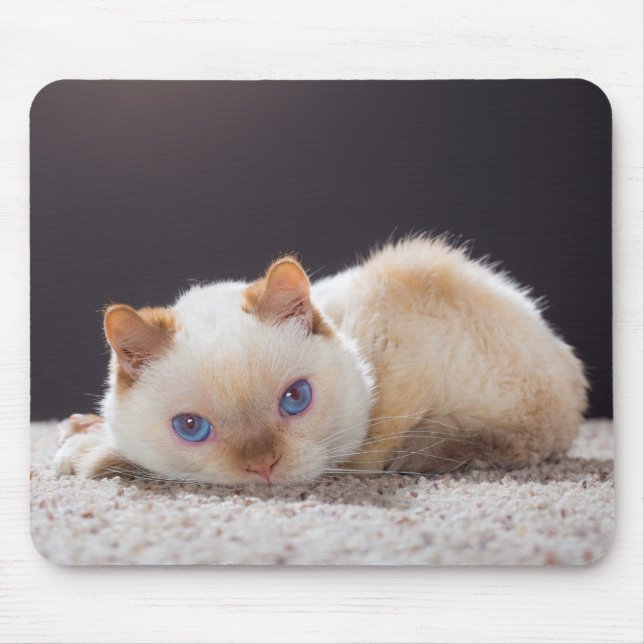 Trident le tapis de souris 01 de chat (Devant)