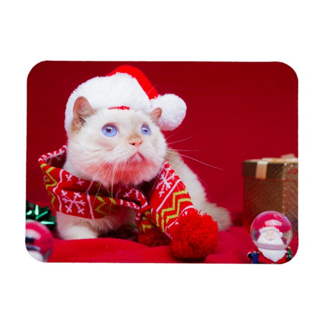 Trident the Cat Christmas Magnet (Horizontal)