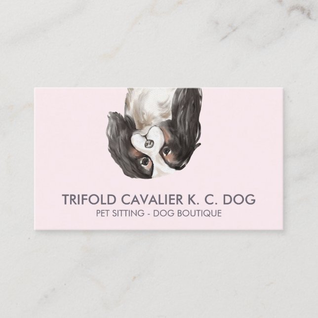 Trifold cavaliale King Charles Hund Visitenkarte (Vorderseite)