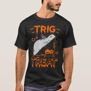 Trig oder Leckerei Hippopotamus Math Lehrer Kostüm T-Shirt