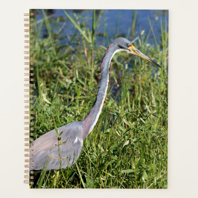 Trikolon Heron Planer (Vorderseite)