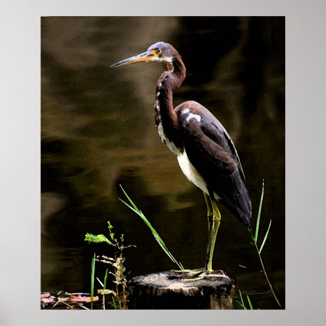 Trikolorierte Heron Print -20x24 -andere Größen au Poster (Vorne)