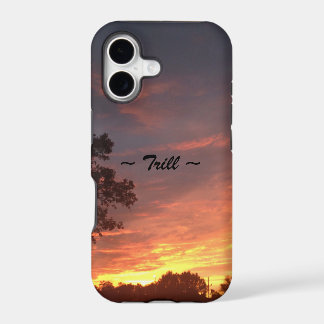 Trill-Nächte