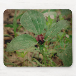 Trillium-Blume Mousepad