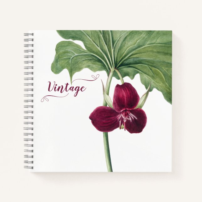 Trillium Botanical Notizbuch (Vorderseite)