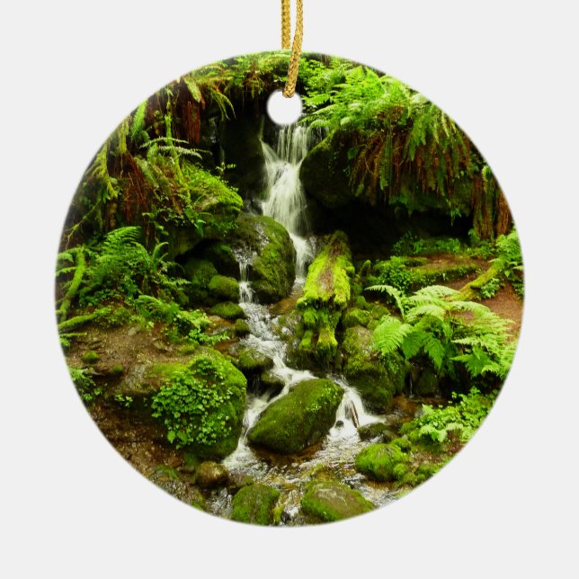 Trillium Falls at Redwood National Park Keramikornament (Vorne)