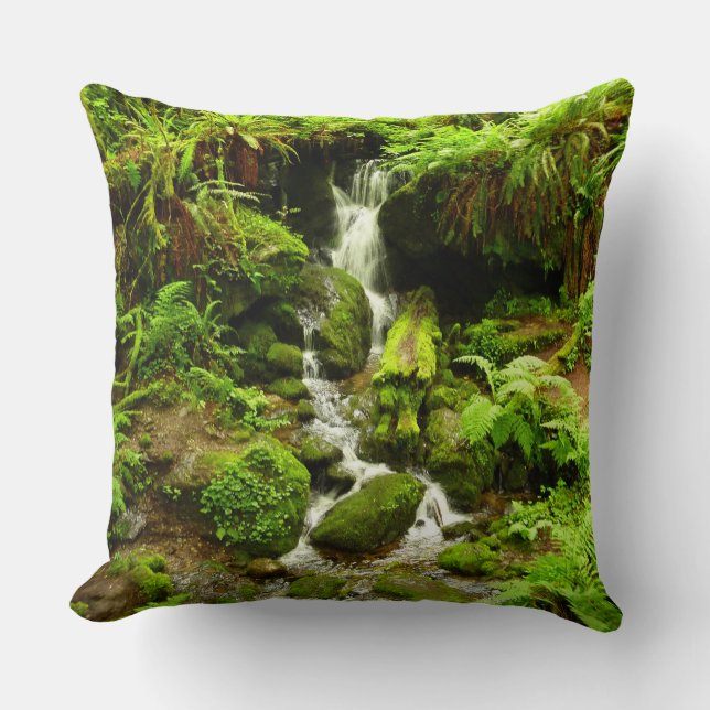 Trillium Falls at Redwood National Park Kissen (Vorderseite)