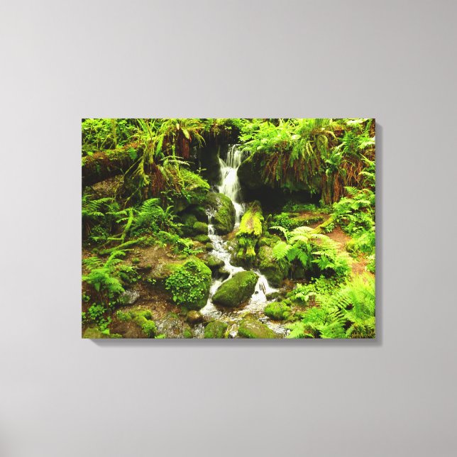 Trillium Falls at Redwood National Park Leinwanddruck (Vorderseite)