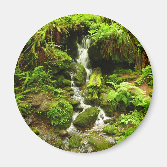 Trillium Falls at Redwood National Park Magnet (Vorne)