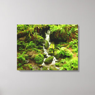 Trillium Falls im Redwood-Nationalpark Leinwanddruck