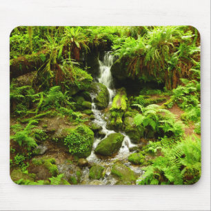 Trillium Falls im Redwood-Nationalpark Mousepad