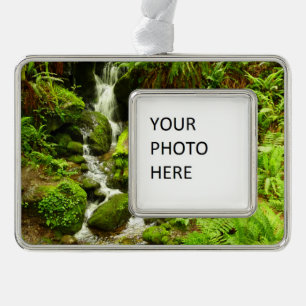 Trillium Falls im Redwood-Nationalpark Rahmen-Ornament Silber