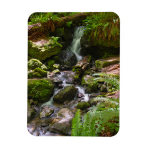 Trillium Falls Redwood Nationalpark California Magnet