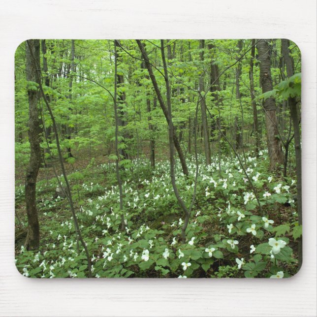 Trillium-Himmel Mousepad (Vorne)