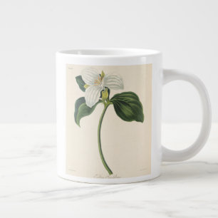 Trillium Jumbo-Tasse