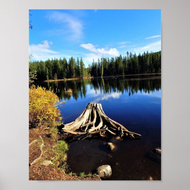 Trillium Lake, OR Poster (Vorne)